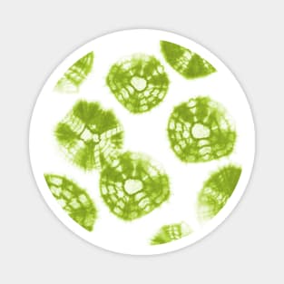 Shibori Kumo tie dye lime green dots over white Magnet